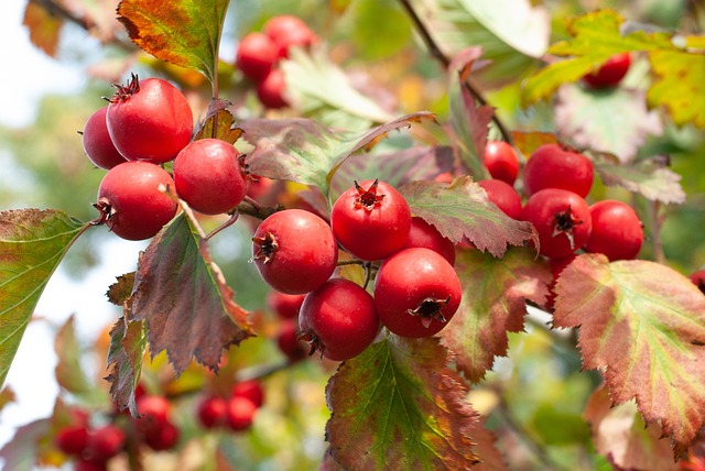 Cuánto cuesta construir un hotel de 20 habitaciones Cuánto cuesta construir un hotel de 20 habitaciones