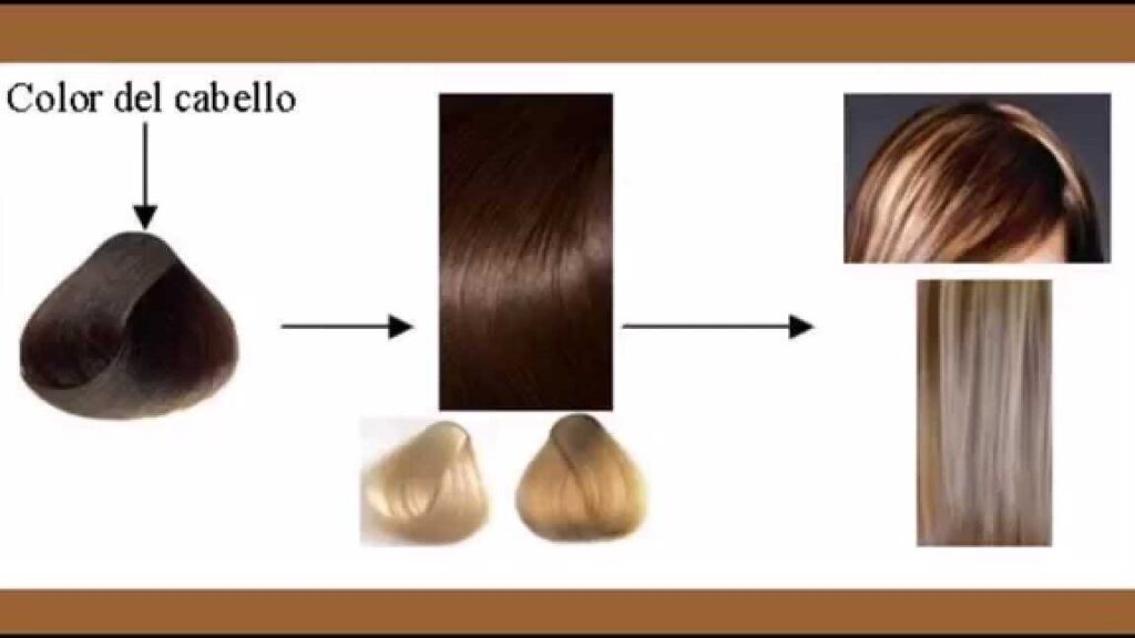 Tengo el pelo castaño oscuro, ¿cómo lograr un tono miel? - Ecologia ...