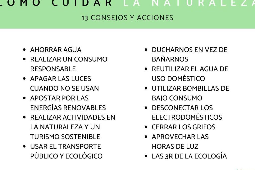 5 acciones para cuidar el medio ambiente: ¡haz tu parte! - Ecologia ...