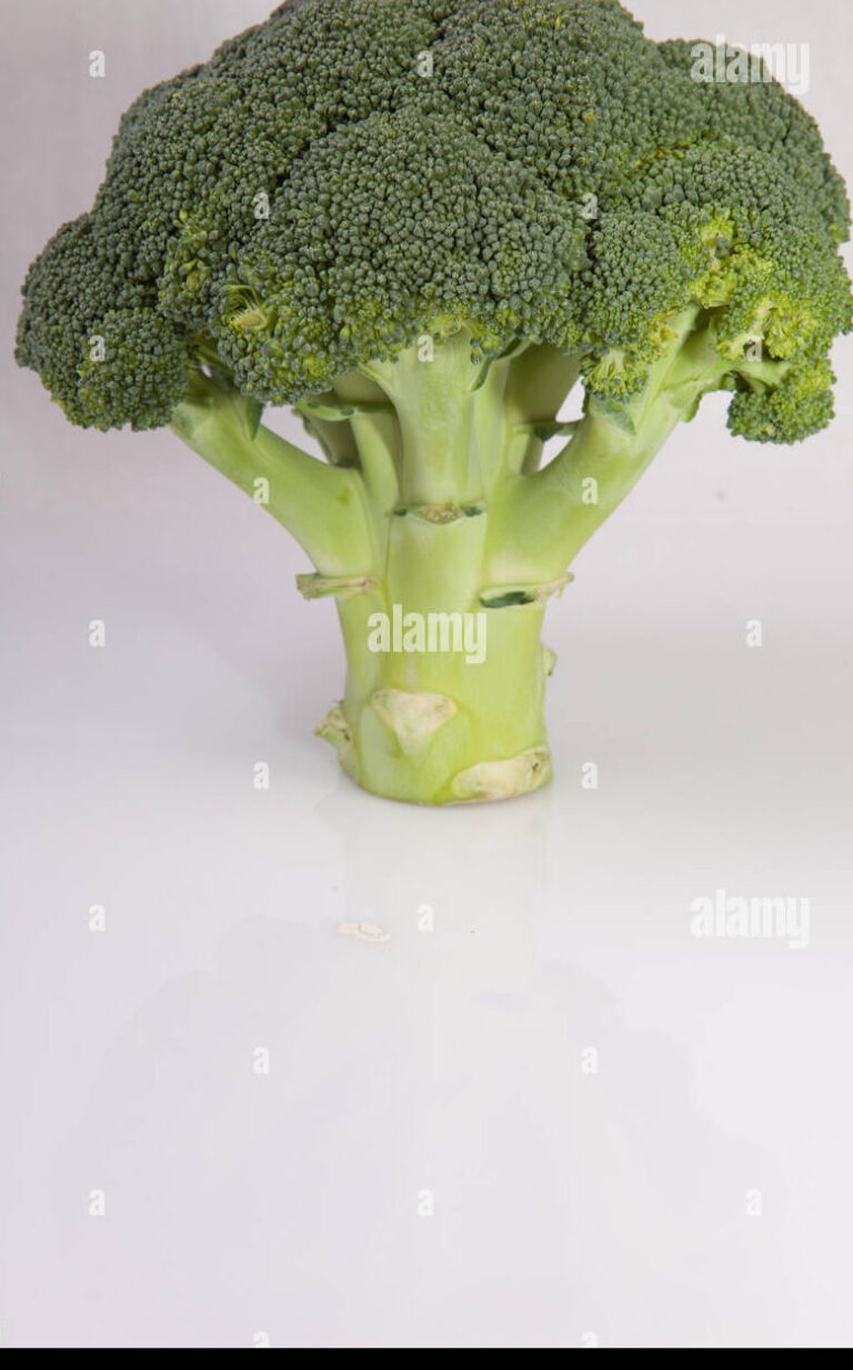 Cómo es la planta del brócoli: una mirada en detalle - Ecologia Cotidiana