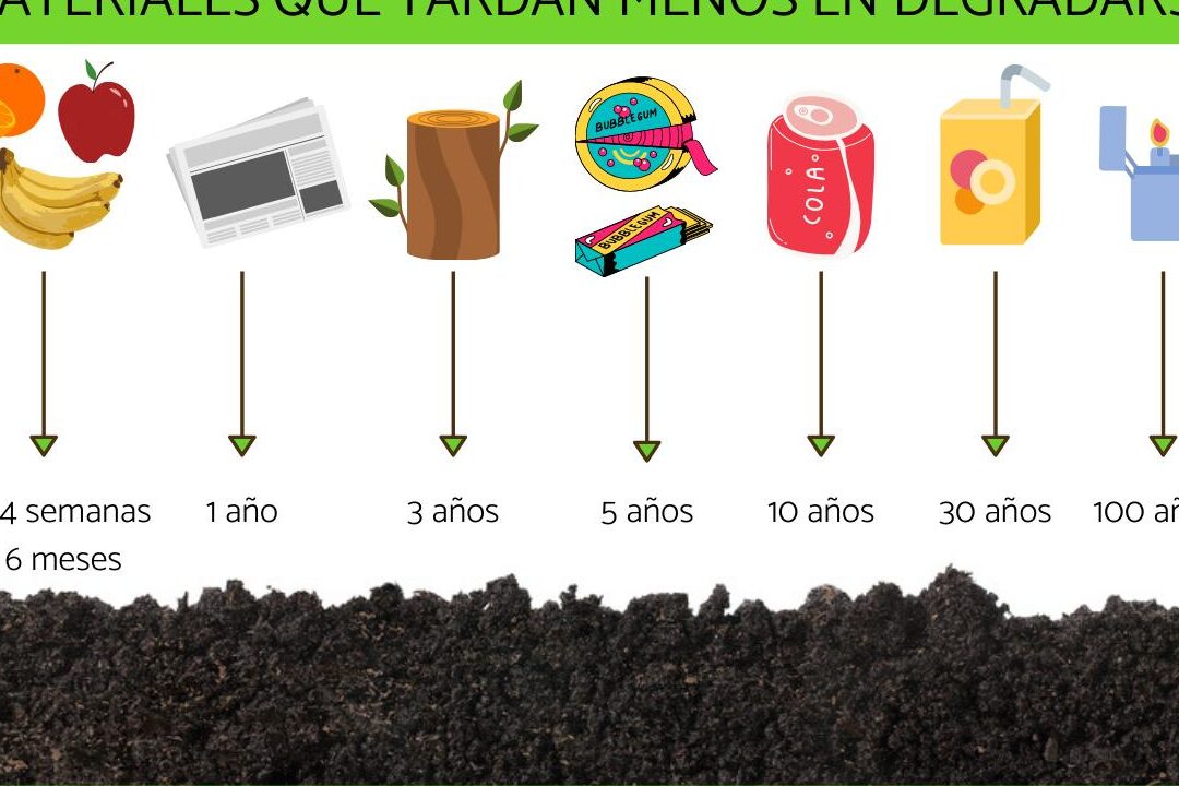 Cuánto tarda en descomponerse una pila: una pregunta ambiental
