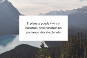 Frases inspiradoras sobre el medio ambiente y la naturaleza - Ecologia ...