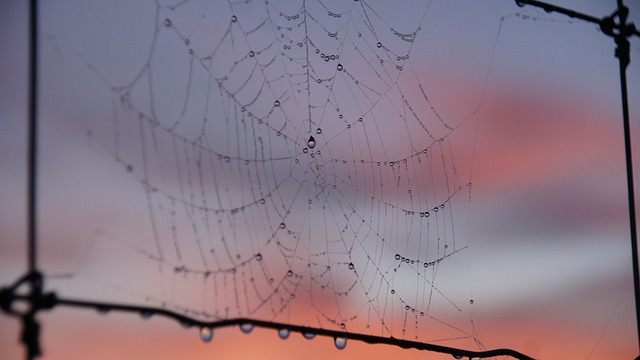 Cómo se etiqueta en LinkedIn: consejos para aprovechar al máximo Cómo se etiqueta en LinkedIn: consejos para aprovechar al máximo